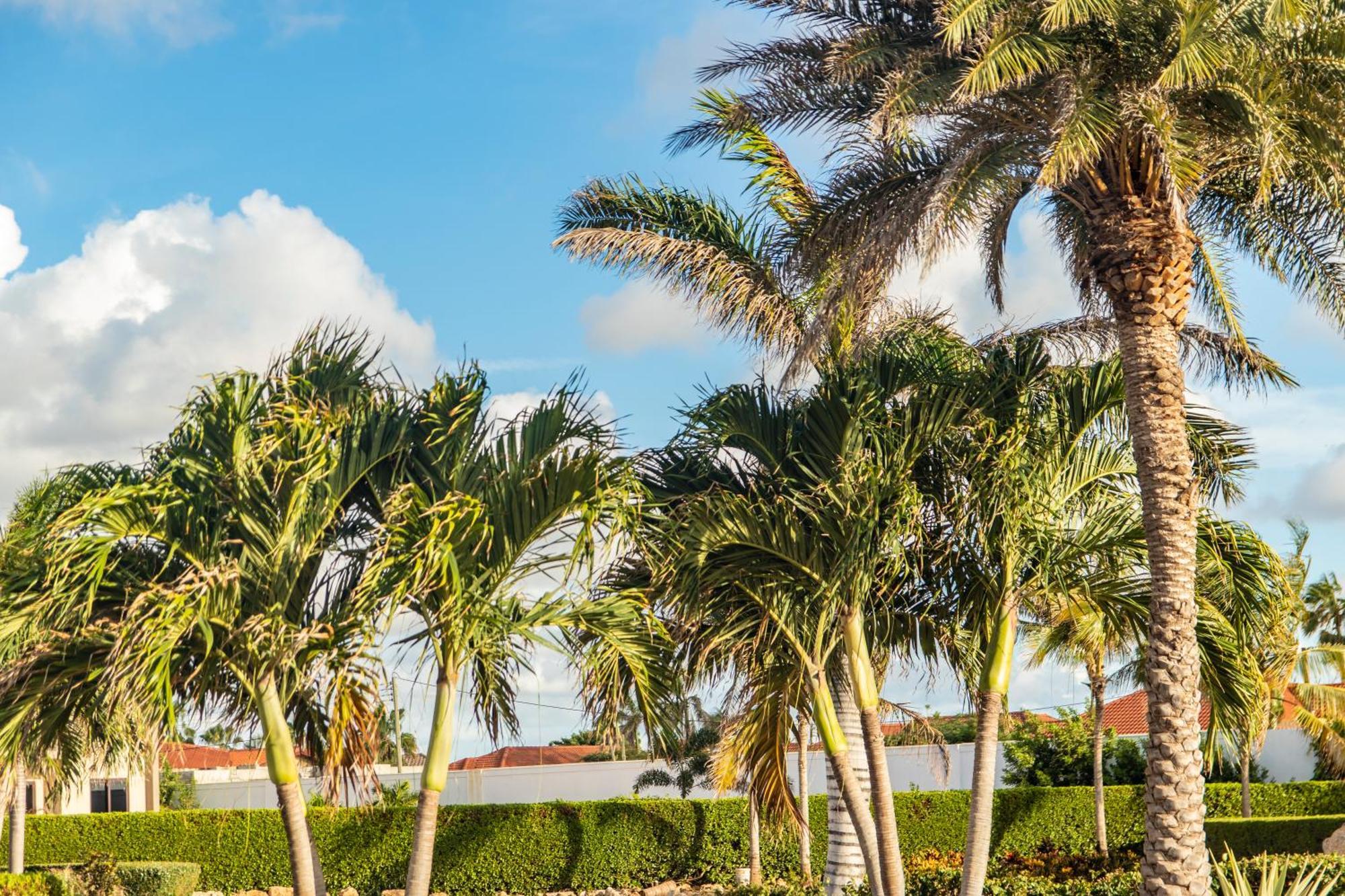 Bocobay Gold Coast Resort Palm Beach ภายนอก รูปภาพ
